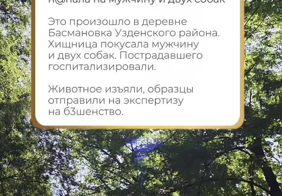 cover-32