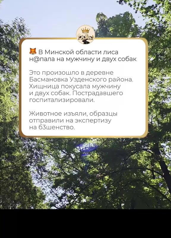 cover-32
