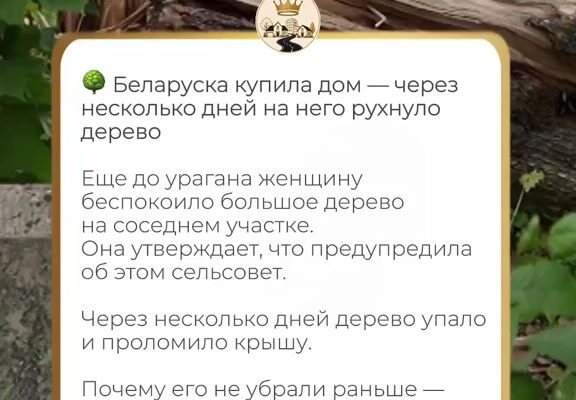 cover-43