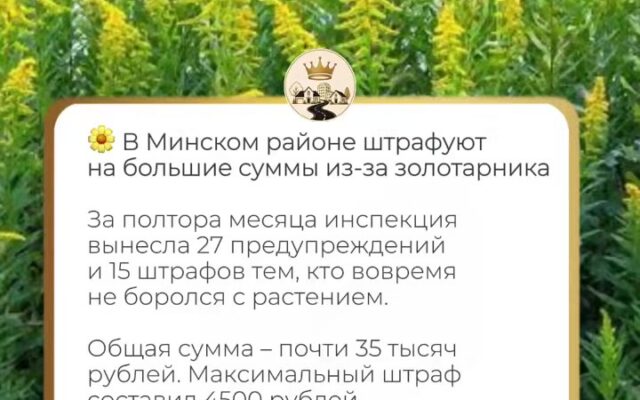 cover-69