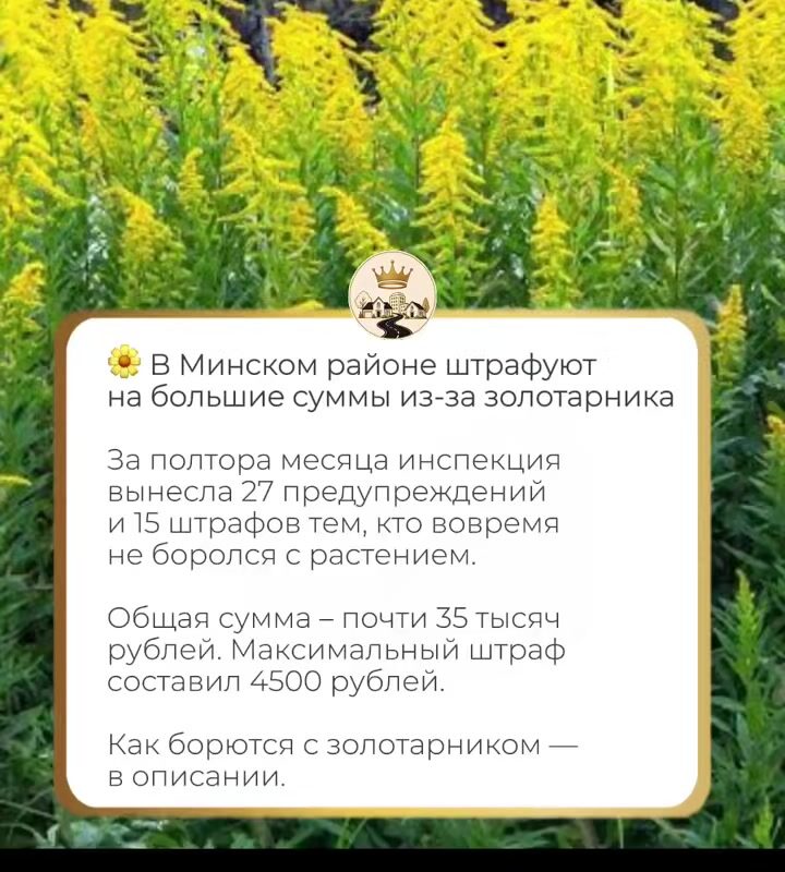 cover-69