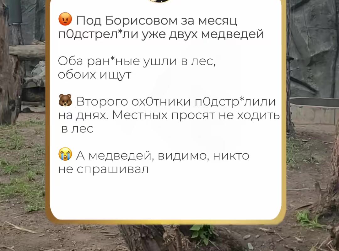cover-79
