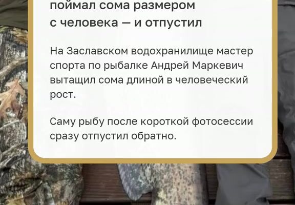 cover-56