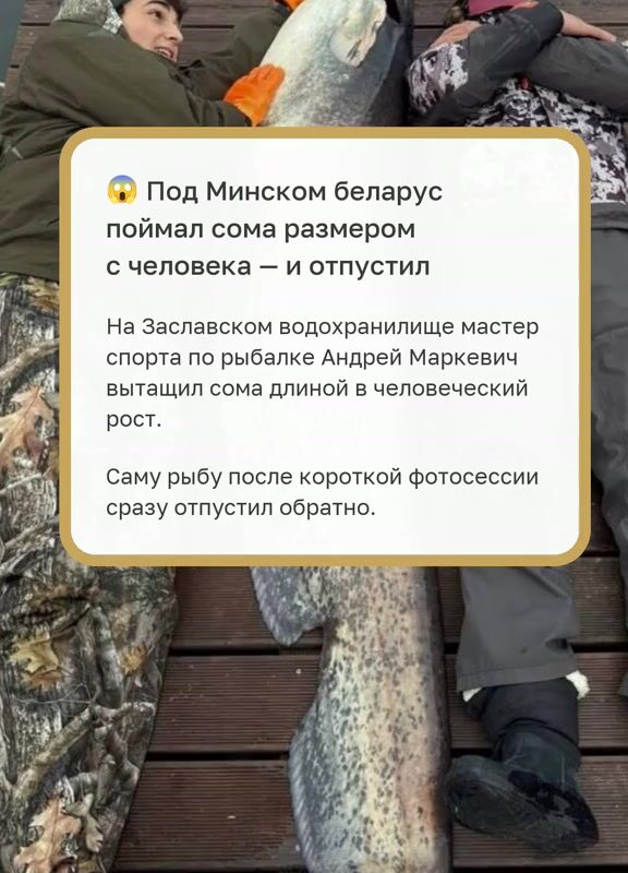 cover-56